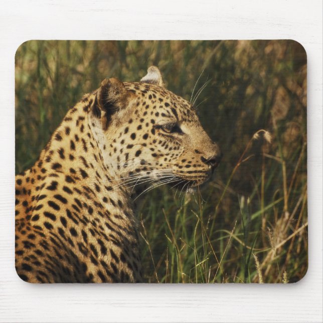 Leopard (alert & sitting up) wild animal mousepads (Front)