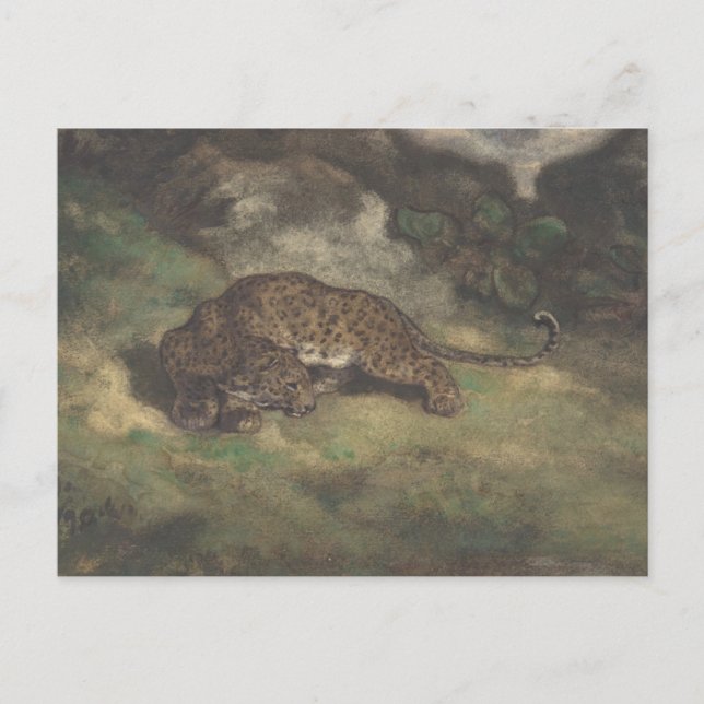 Leopard and Serpent Postcard (Front)