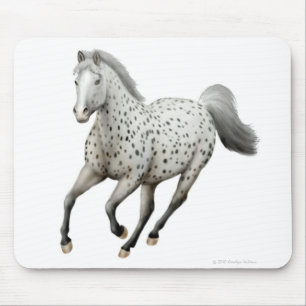 Leopard Appaloosa Horse Mousepad