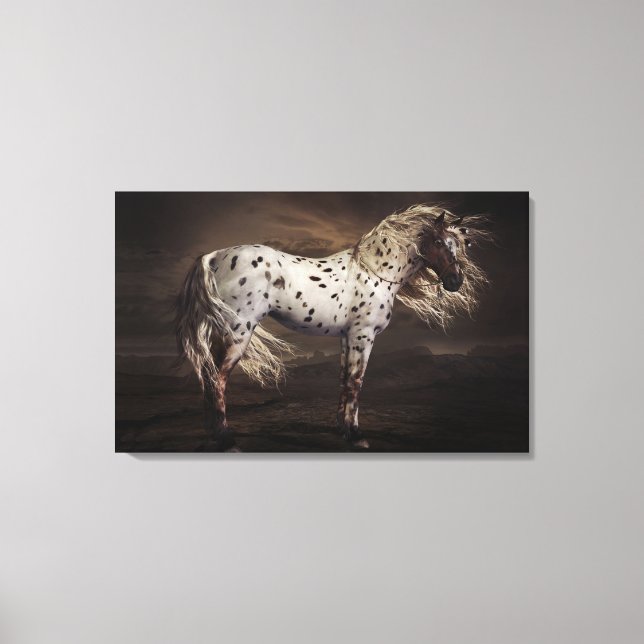 Leopard Appaloosa Stretched Canvas Print (Front)