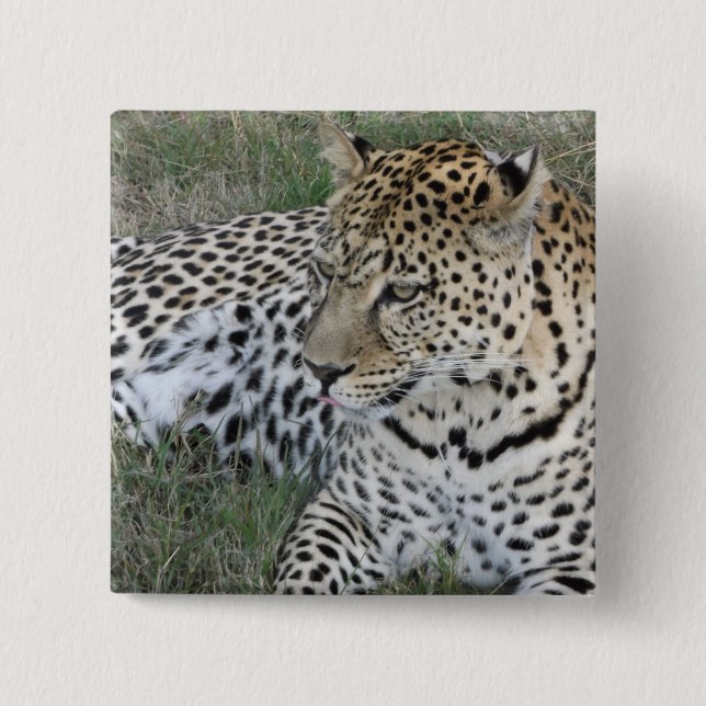 Leopard badge 2 inch square button (Front)
