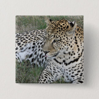 Leopard badge 2 inch square button