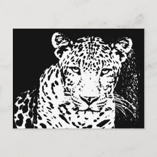 Leopard Black And White Portrait Postcards