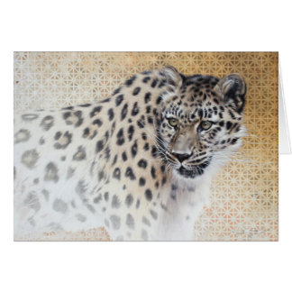 Leopard Blank Card by Andrew Denman