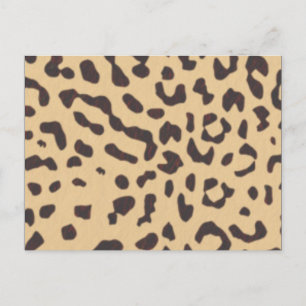 leopard; blank postcard