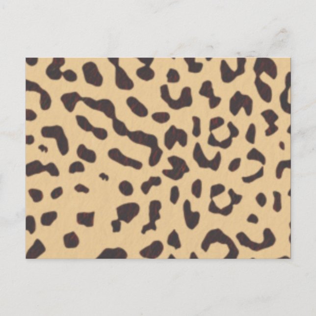 leopard; blank postcard (Front)