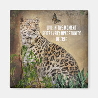 Leopard Butterfly Photo LIve in The Moment Quote