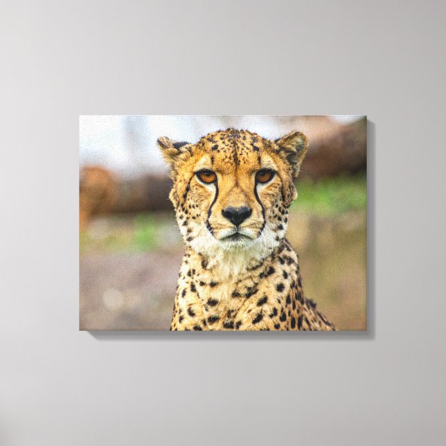leopard canvas print (Front)