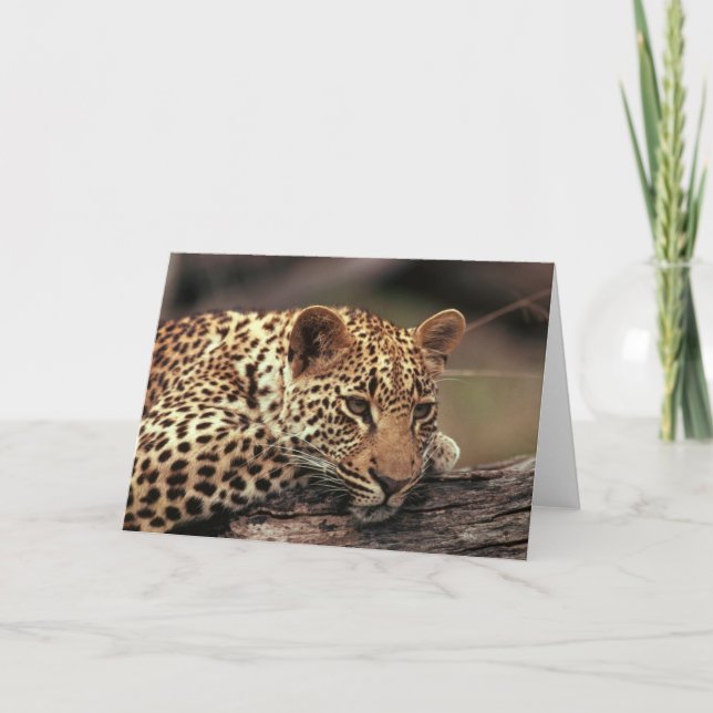 Leopard Card (Front)