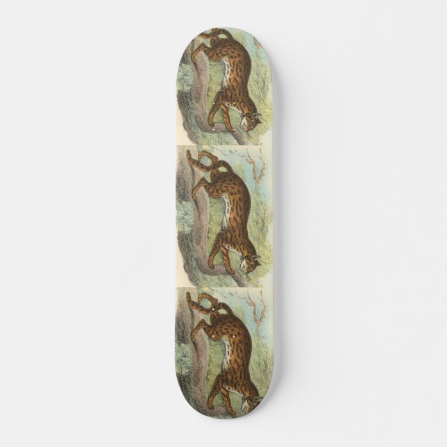 Leopard-Cat, Felis bengalensis Skateboard (Front)