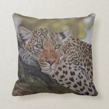 Leopard cat lying in a tree pillow