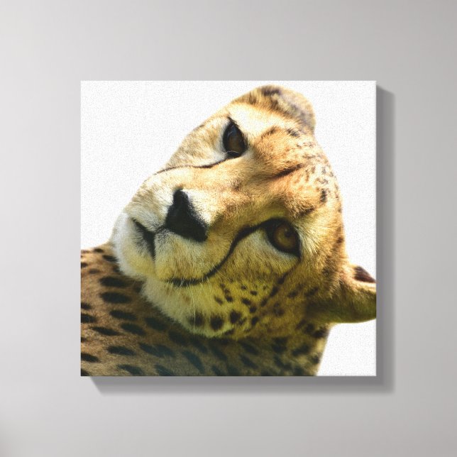 Leopard cheetah wild jungle animal photo canvas print (Front)