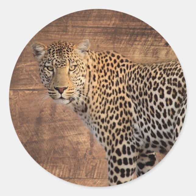 Leopard Classic Round Sticker (Front)