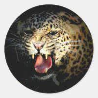Leopard