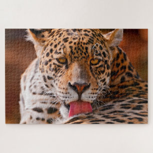 Leopard cleaning his paws on the ground jigsaw puzzle