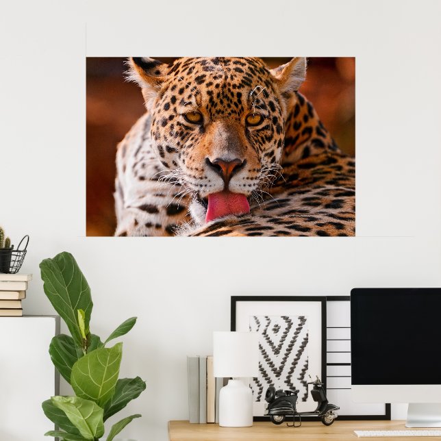 Leopard cleaning poster (Home Office)