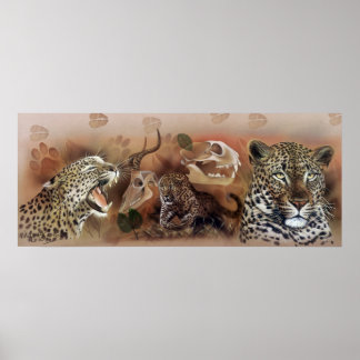 Leopard Collection Poster