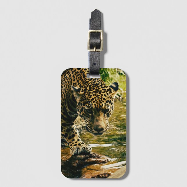 Leopard Crossing a Stream Photograph Luggage Tag (Front Vertical)