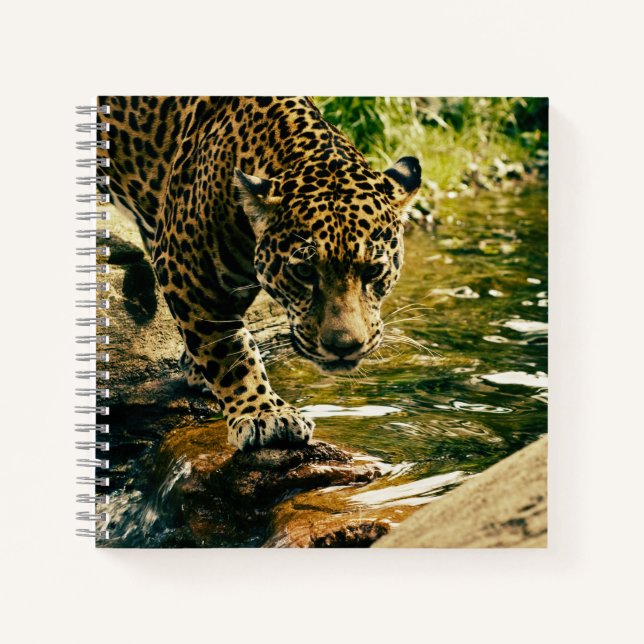 Leopard Crossing a Stream Photograph Notebook (Front)
