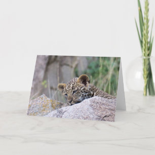 Leopard Cub Card