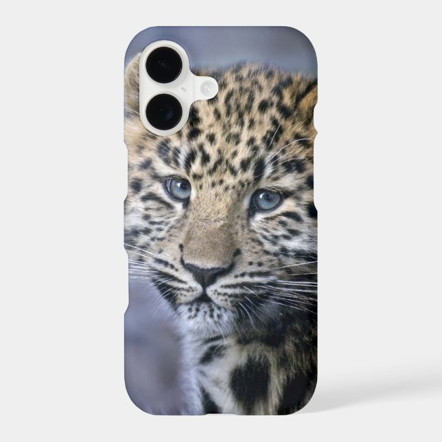 Leopard Cub iPhone 11 Case (Back)