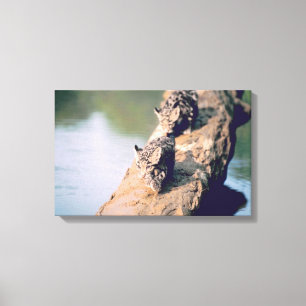 Leopard cubs on log canvas print