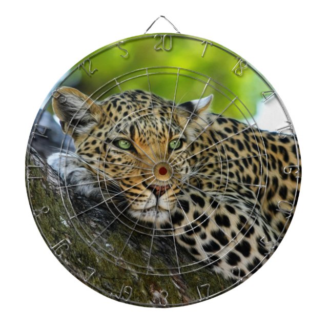 Leopard Dartboard (Front)