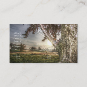 Leopard Doll in a tree Business Card