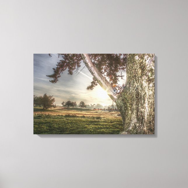 Leopard Doll in a Tree Canvas Print (Front)