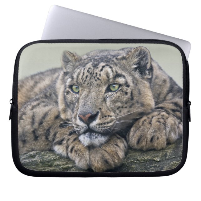 Leopard Dreaming Laptop Sleeve (Front)