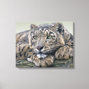 Leopard Dreaming Wrapped Canvas