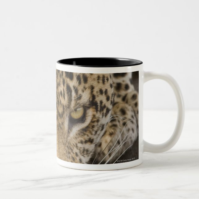 Leopard drinking, Greater Kruger National Park, Two-Tone Coffee Mug (Right)