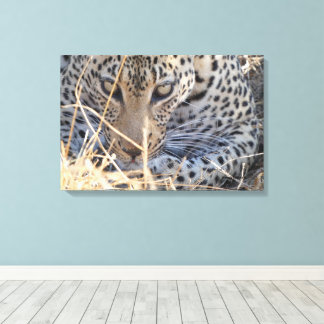 LEOPARD EYES CLOSE-UP CANVAS PRINT
