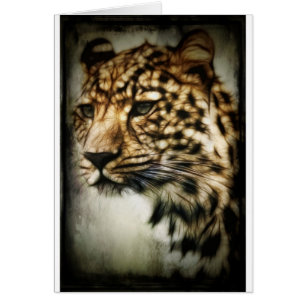 Leopard face