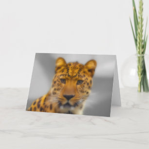 Leopard Face Card