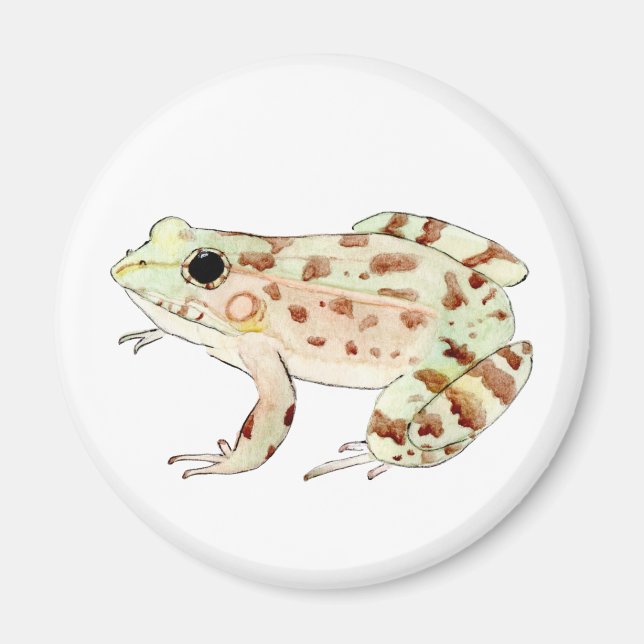 Leopard Frog Magnet (Front)