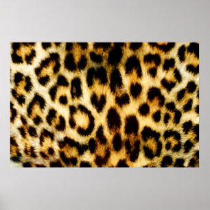 Leopard Fur Poster