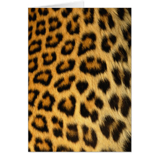 Leopard Fur Wildlife Cards Series