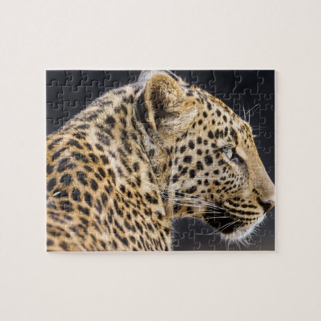 Leopard Game Puzzle (Horizontal)