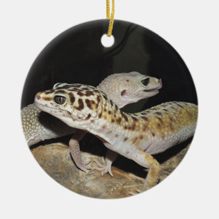 Leopard gecko design for all! ceramic ornament