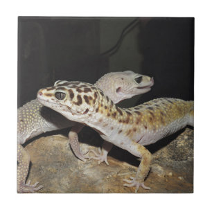 Leopard gecko design for all! tile