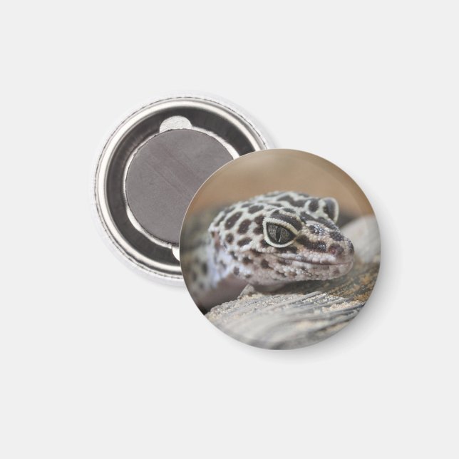 Leopard Gecko Eyes Mouth  Face Close Up Magnet (Front/Back)