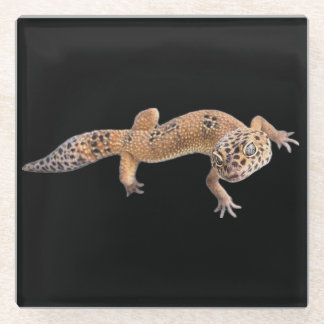 Leopard Gecko Glass Coaster