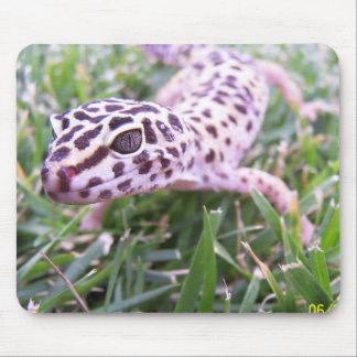 Leopard Gecko Mouse Pad