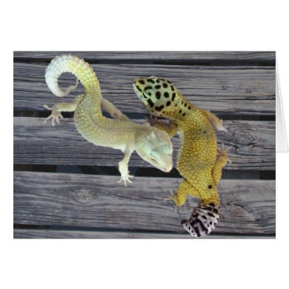 Leopard Geckos – Coat of Many Colours