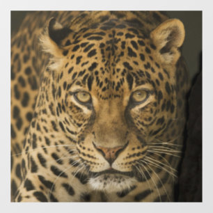 LEOPARD GLASS WINDOW CLING