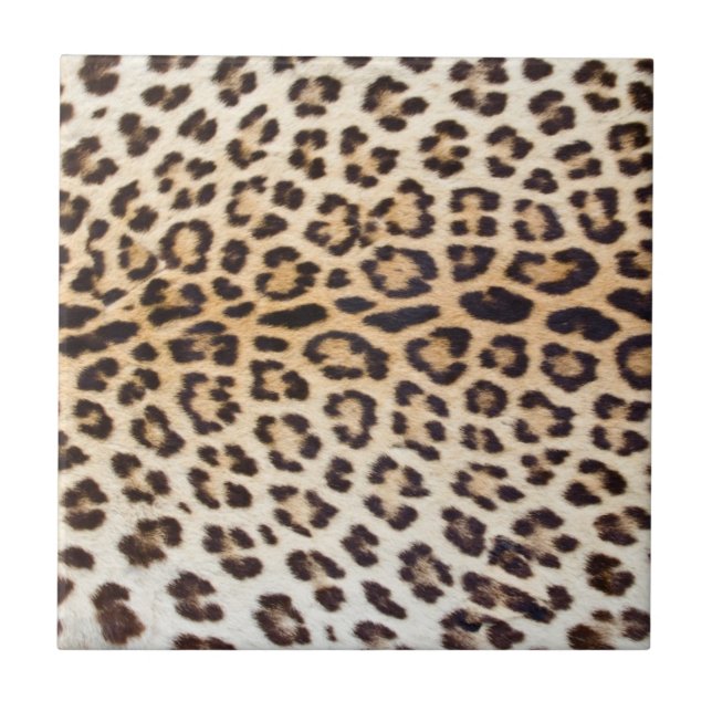 Leopard hair tile (Front)