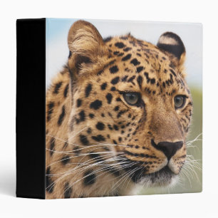 Leopard Head Portrait Binder