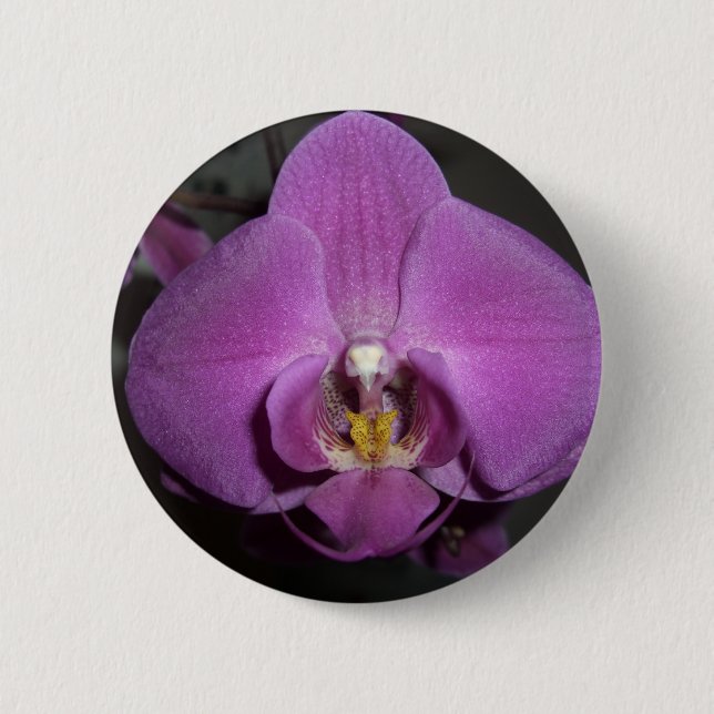 Leopard Head Yellow Purple Orchid 2 Inch Round Button (Front)