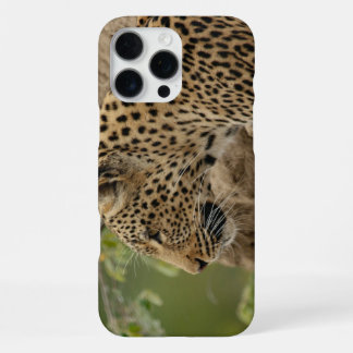 Leopard  iPhone 16 pro max case